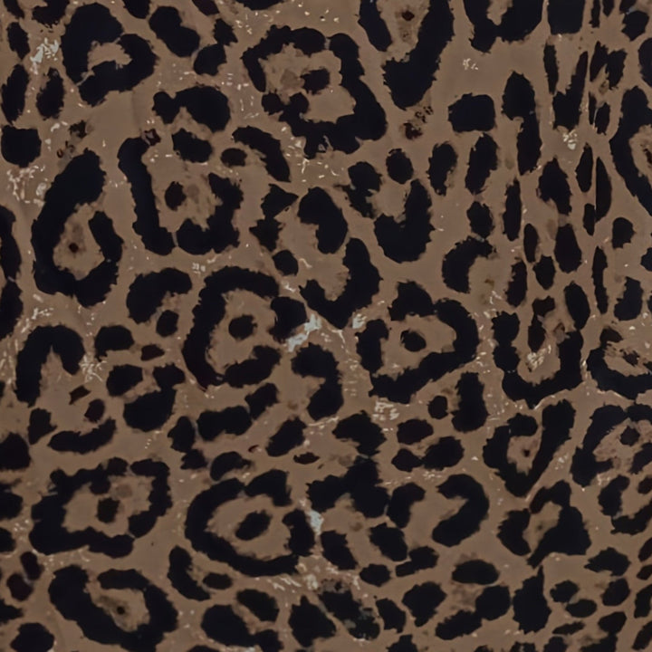 Anežka - Leopardja krila